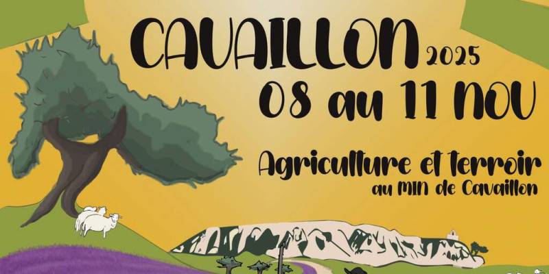 Foire de Cavaillon Edition 2025